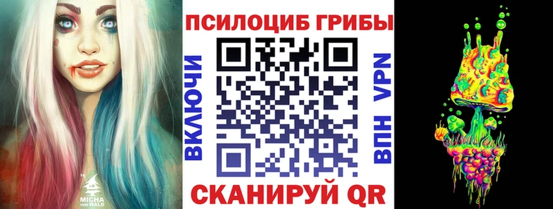 Псилоцибиновые грибы прущие грибы  где купить наркоту  Карачаевск 
