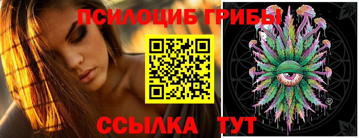 Галлюциногенные грибы мухоморы Карачаевск