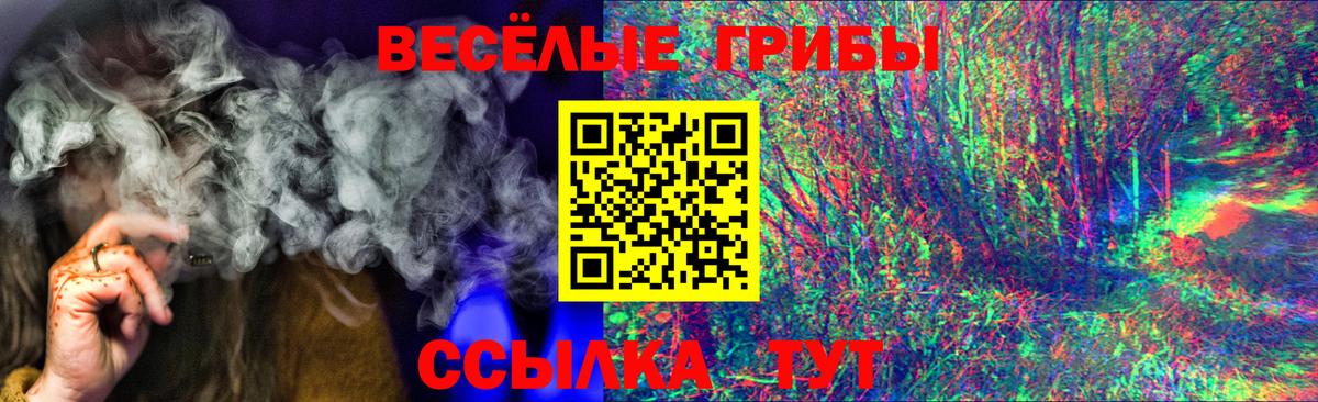Псилоцибиновые грибы Psilocybe  Карачаевск 